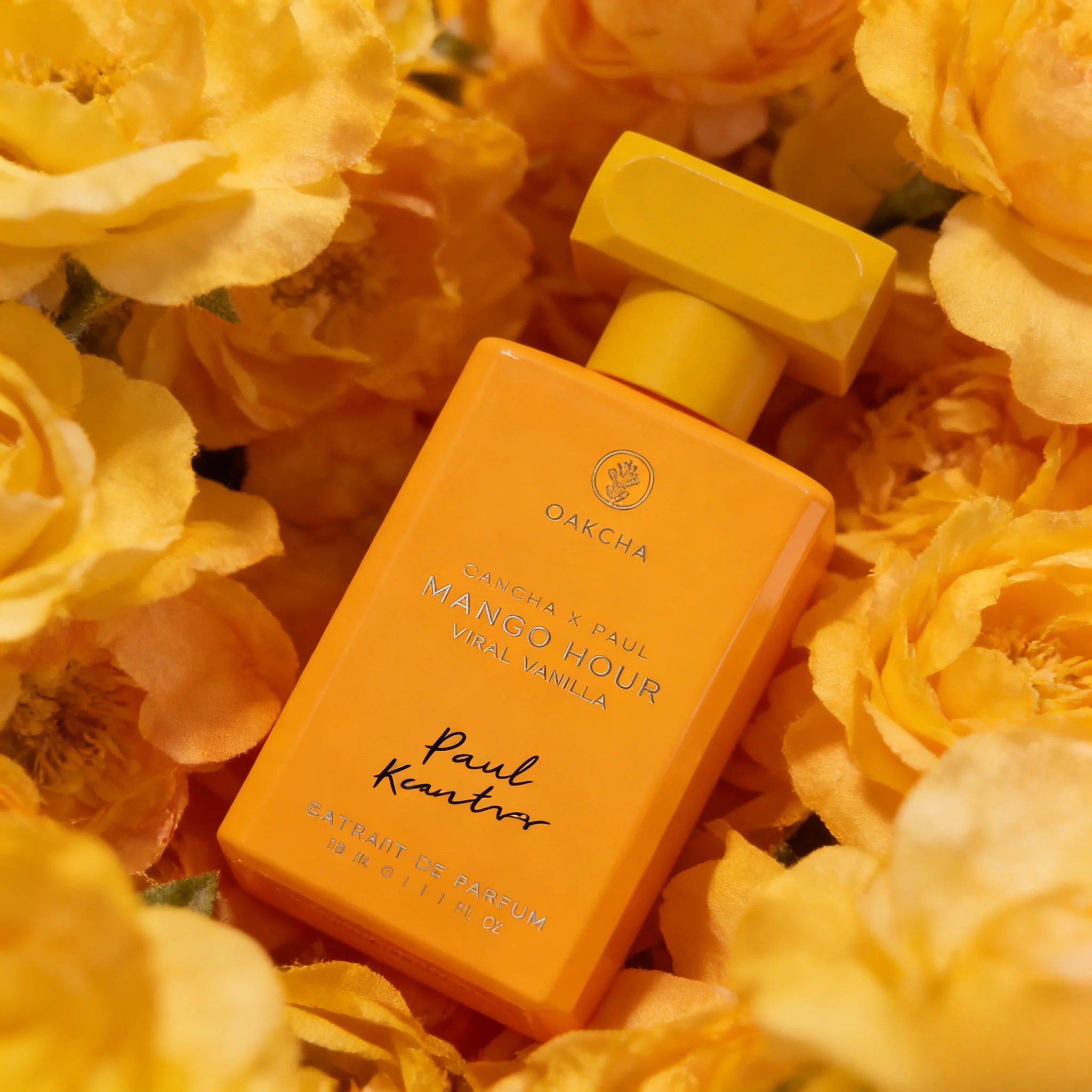 عطر OAKCHA للرجال والنساء، مان - مراجعة Perfume Fragrance Tous وسعره