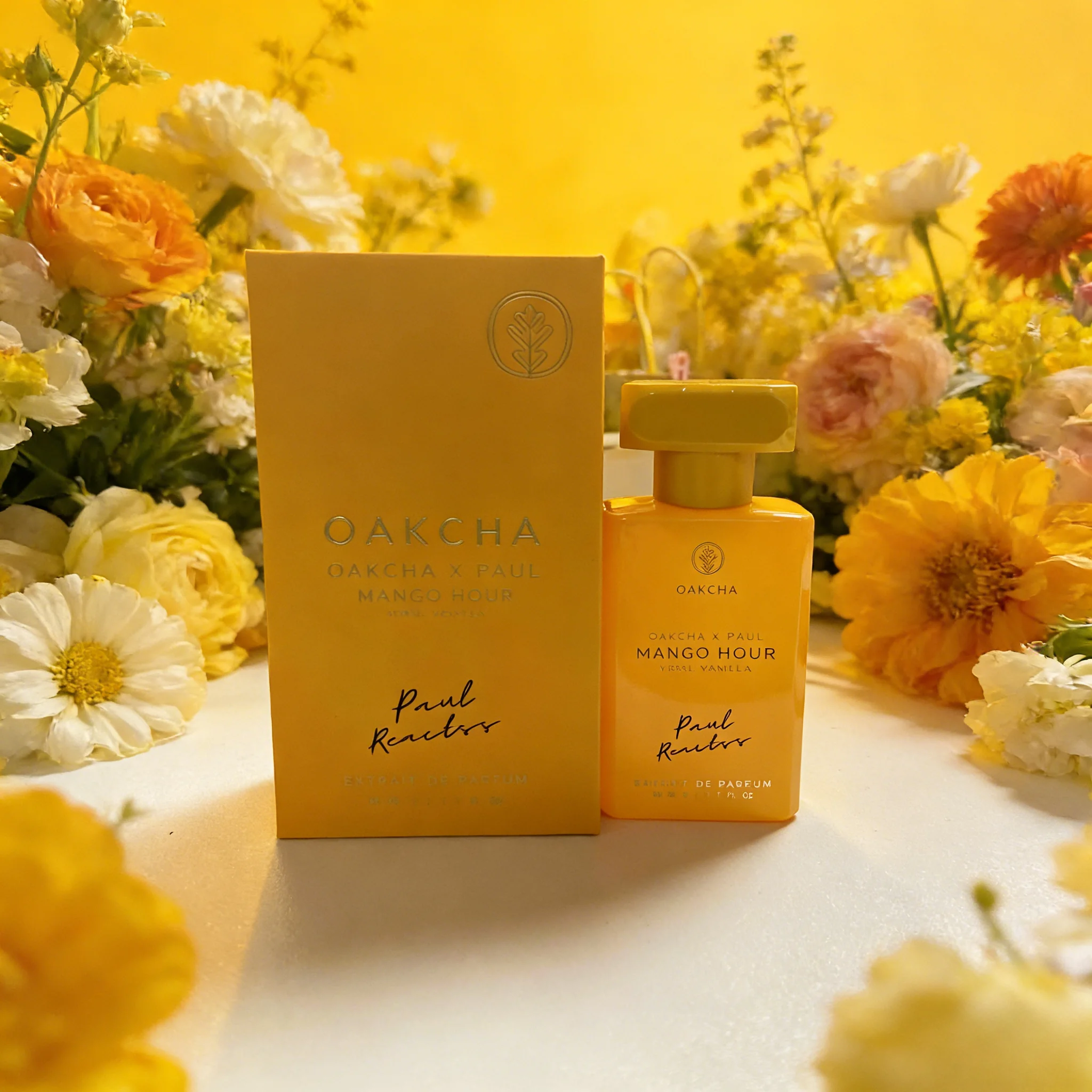 عطر OAKCHA للرجال والنساء، مان - مراجعة Perfume Fragrance Tous وسعره